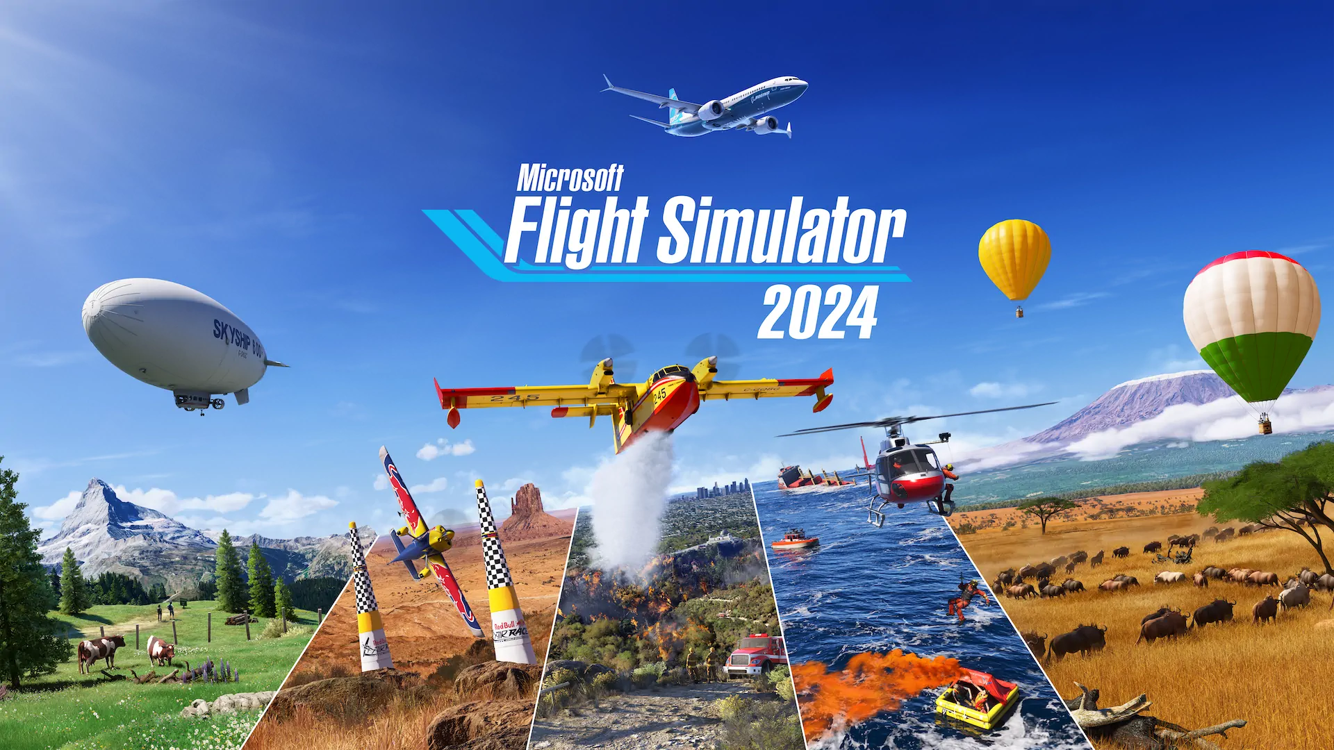 Microsoft Flight Simulator photo